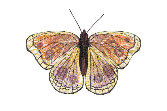 Yellow Butterfly with Burgundy Spots: A Seller Review